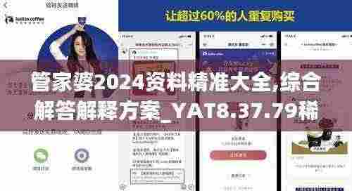 管家婆2024资料精准大全,综合解答解释方案_YAT8.37.79稀缺版