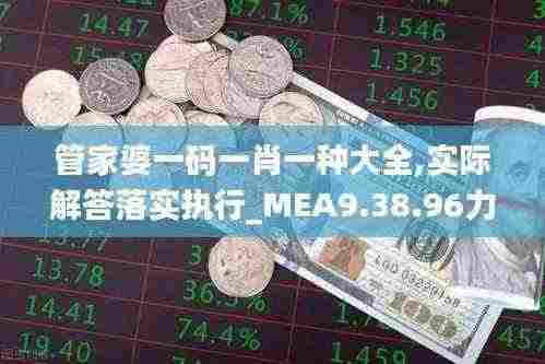 管家婆一码一肖一种大全,实际解答落实执行_MEA9.38.96力量版