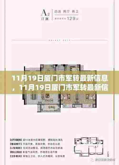 11月19日厦门市军转最新信息解读与分析，个人见解与观点