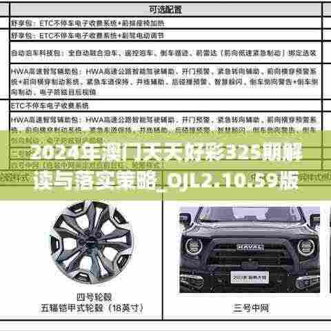 2024年澳门天天好彩325期解读与落实策略_OJL2.10.59版