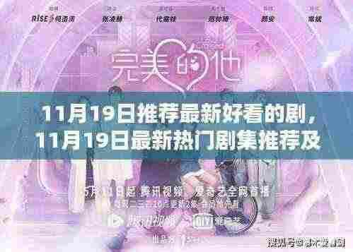 11月19日最新热门剧集推荐与深度评测，不容错过的精彩剧集