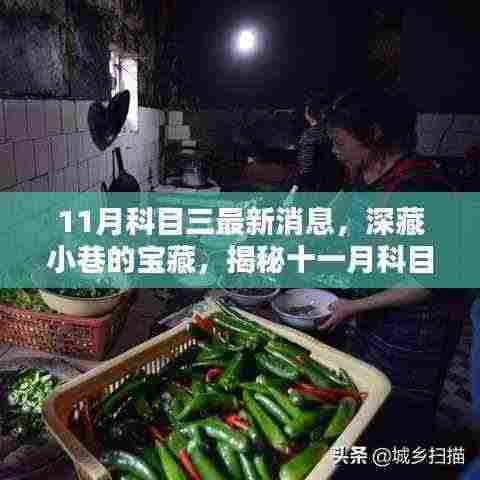 揭秘深藏小巷的独特小店，十一月科目三最新消息下的故事