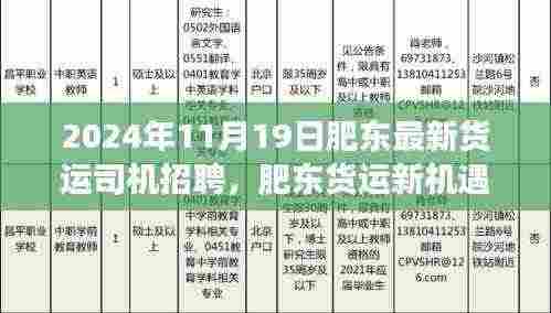 2024年肥东货运司机招聘动态及职业前景展望，新机遇，等你来驾！