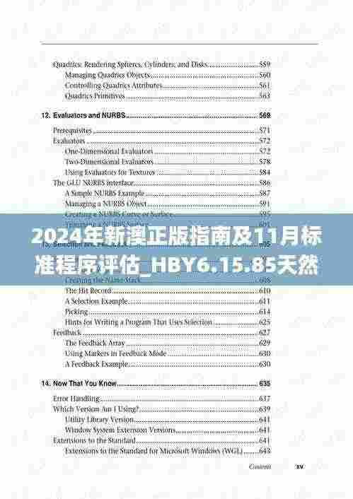 2024年新澳正版指南及11月标准程序评估_HBY6.15.85天然版