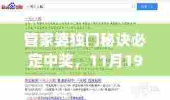 管家婆独门秘诀必定中奖，11月19日历史回顾与解读_OAX9.44.33方案版