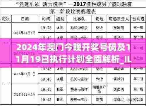 2024年澳门今晚开奖号码及11月19日执行计划全面解析_ILO4.72.31极限版