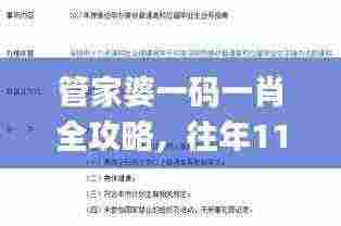 管家婆一码一肖全攻略，往年11月19日体验答疑解析_KDU3.31.85薄荷版