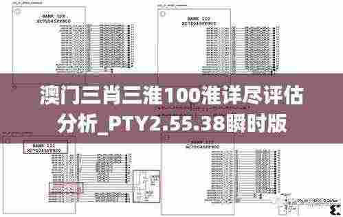澳门三肖三淮100淮详尽评估分析_PTY2.55.38瞬时版