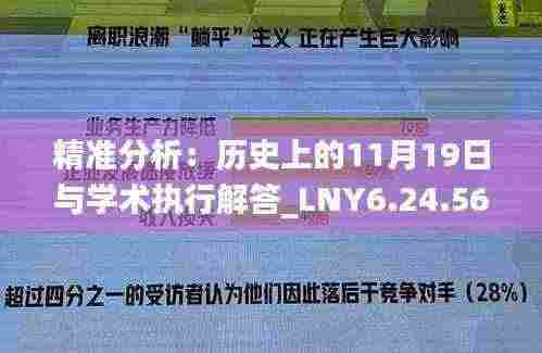 精准分析：历史上的11月19日与学术执行解答_LNY6.24.56内容创作版