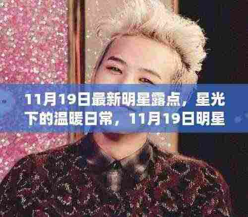 11月19日明星最新动态，星光下的日常与朋友的陪伴时光