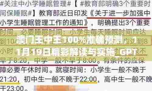 澳门王中王100%准确预测，11月19日精彩解读与实施_GPT9.28.69设计师版