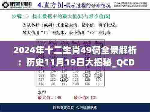 2024年十二生肖49码全景解析：历史11月19日大揭秘_QCD6.66.67珍藏版