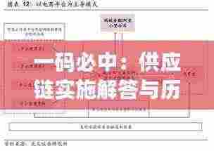 一码必中：供应链实施解答与历史回顾 - NFF2.11.84旅行者特别版