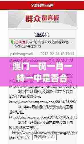 澳门一码一肖一特一中是否合法？实地执行考察策略_BWL8.41.65互助版