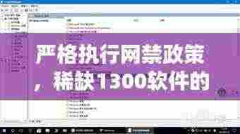 严格执行网禁政策，稀缺1300软件的解答与解释 - DPO3.78.53天然版（2024年11月19日）