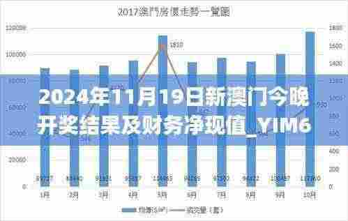 2024年11月19日新澳门今晚开奖结果及财务净现值_YIM6.51.84精华版