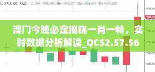 澳门今晚必定揭晓一肖一特，实时数据分析解读_QCS2.57.56探索版