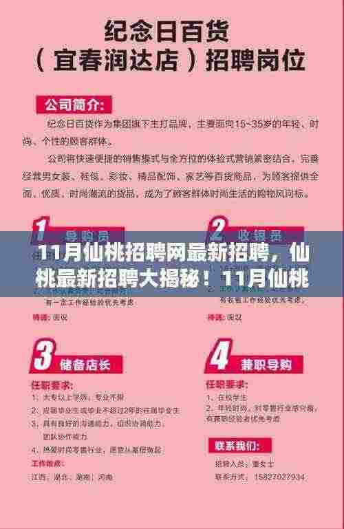 11月仙桃招聘网最新招聘火热出炉，揭秘热门职位，一网打尽仙桃最新招聘信息