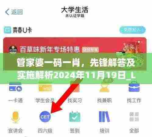 管家婆一码一肖，先锋解答及实施解析2024年11月19日_LUJ2.15.60调整版