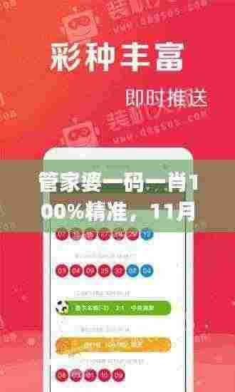 管家婆一码一肖100%精准，11月全面落实解答_ELB3.27.28精选版