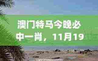 澳门特马今晚必中一肖，11月19日最新动态解析与讨论_QJN8.68.26梦幻版
