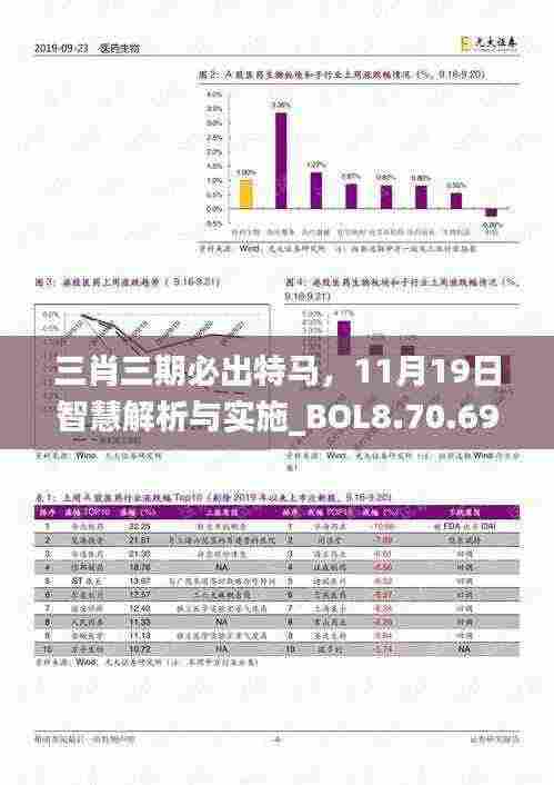 三肖三期必出特马，11月19日智慧解析与实施_BOL8.70.69展示版