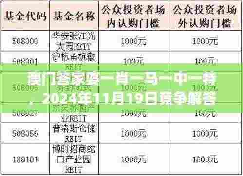 澳门答家婆一肖一马一中一特，2024年11月19日竞争解答与实施_VSG6.29.24珍藏版