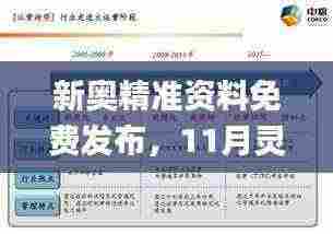 新奥精准资料免费发布，11月灵活执行方案_LSK3.56.84验证版