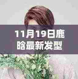 鹿晗最新发型揭秘，11月19日时尚发型DIY教程与剪发技巧