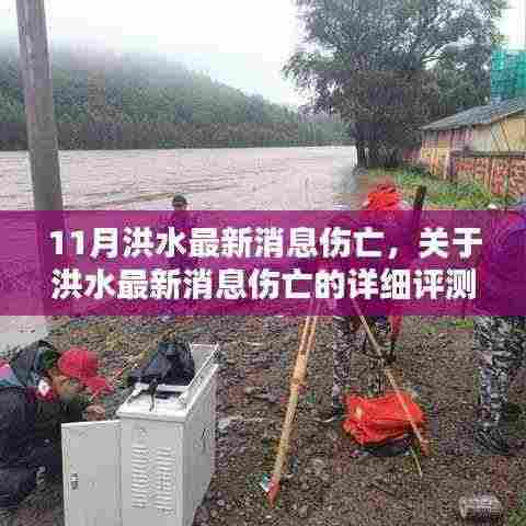 11月洪水最新伤亡消息详解，评估与介绍