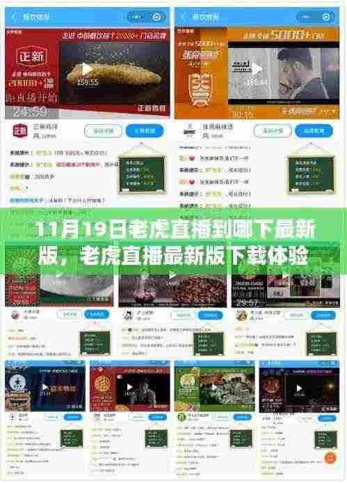 老虎直播最新版下载指南，特性、对比与用户体验解析