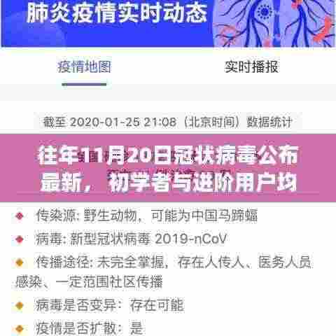 往年11月20日冠状病毒最新公布信息，初学者与进阶用户指南