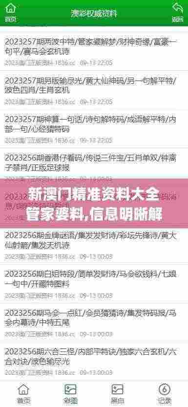 新澳门精准资料大全管家婆料,信息明晰解析导向_QZI92.992车载版