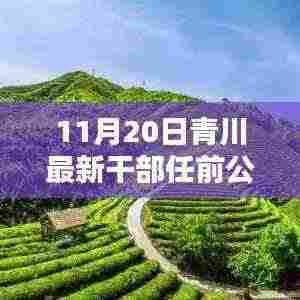 青川最新干部任前公示揭晓，开启发展新篇章的小温馨