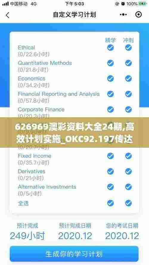626969澳彩资料大全24期,高效计划实施_OKC92.197传达版