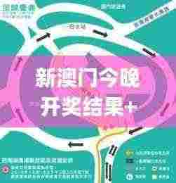 新澳门今晚开奖结果+开奖直播,高效性设计规划_CZK92.905互联版