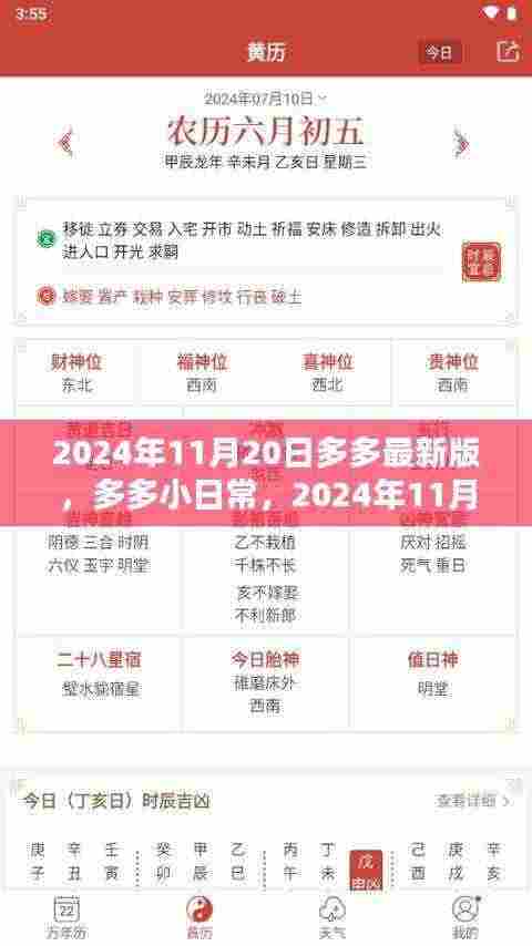 多多小日常，温馨时光下的多多最新版，记录美好时光