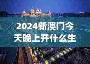 2024新澳门今天晚上开什么生肖,实际调研解析_HYE92.617跨平台版