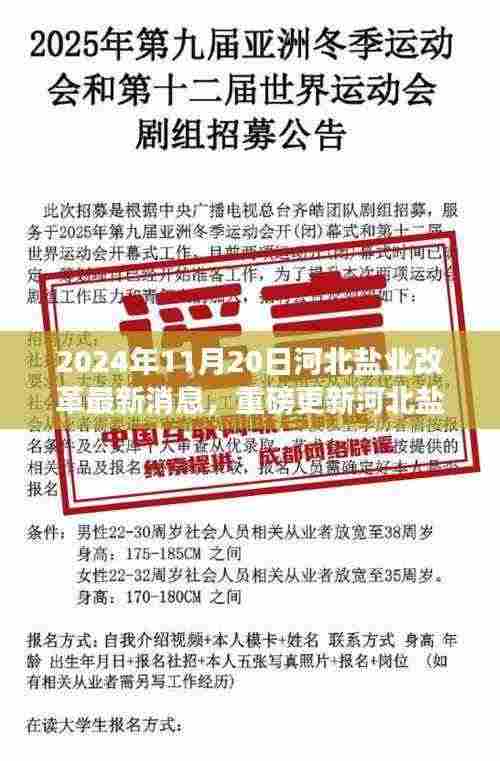 2024年河北盐业改革迈入新阶段，最新消息解析及影响