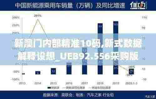 新澳门内部精准10码,新式数据解释设想_UEB92.556采购版