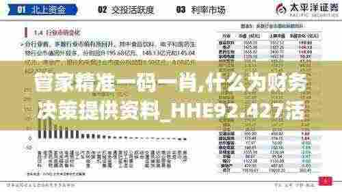 管家精准一码一肖,什么为财务决策提供资料_HHE92.427活现版