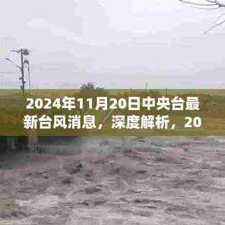 中央台最新台风消息纪实，深度解析2024年台风新动向