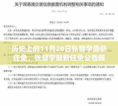 历史上的11月20日，张慧宇最新任免及其解读与操作指南