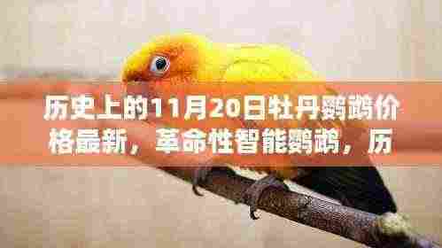历史上的11月20日牡丹鹦鹉价格揭秘，科技奇迹背后的革命性智能鹦鹉诞生历程