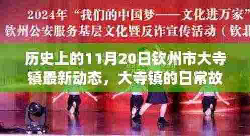 11月20日钦州市大寺镇日常故事与最新动态回顾