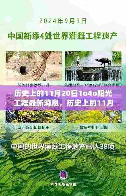 揭秘历史上的阳光工程进展，最新消息与进展揭秘（11月20日）