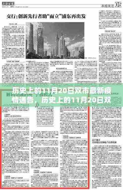 历史上的11月20日双市疫情通告详解，获取最新疫情信息的步骤
