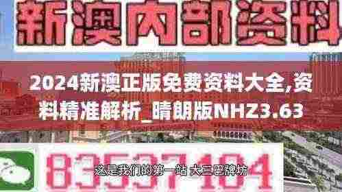 2024新澳正版免费资料大全,资料精准解析_晴朗版NHZ3.63