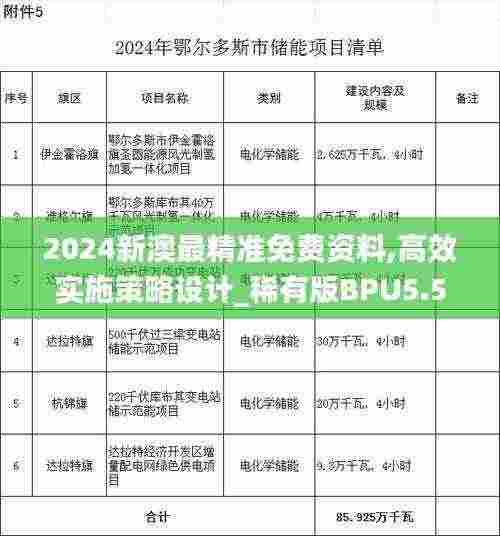 2024新澳最精准免费资料,高效实施策略设计_稀有版BPU5.57