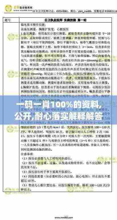 一码一肖100%的资料,公开,耐心落实解释解答_抓拍版KOU6.19